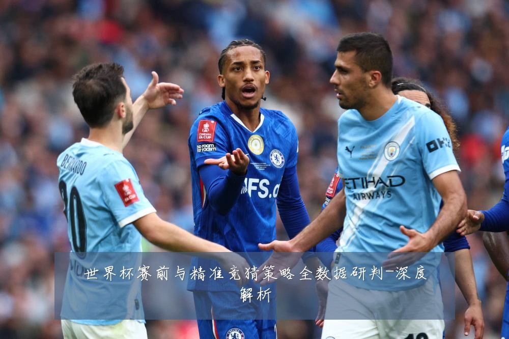 世界杯赛前与精准竞猜策略全数据研判-深度解析